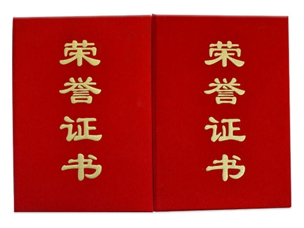 駿宇榮譽(yù)證書